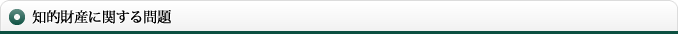 知的財産に関する問題